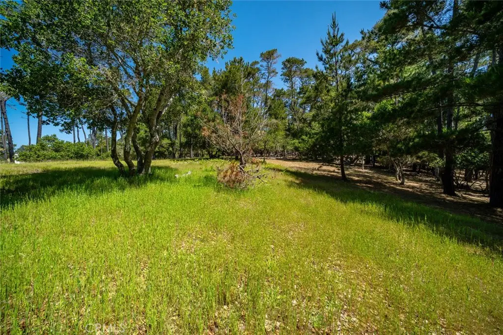 6475 Kathryn Drive, Cambria, CA — listing photo 1