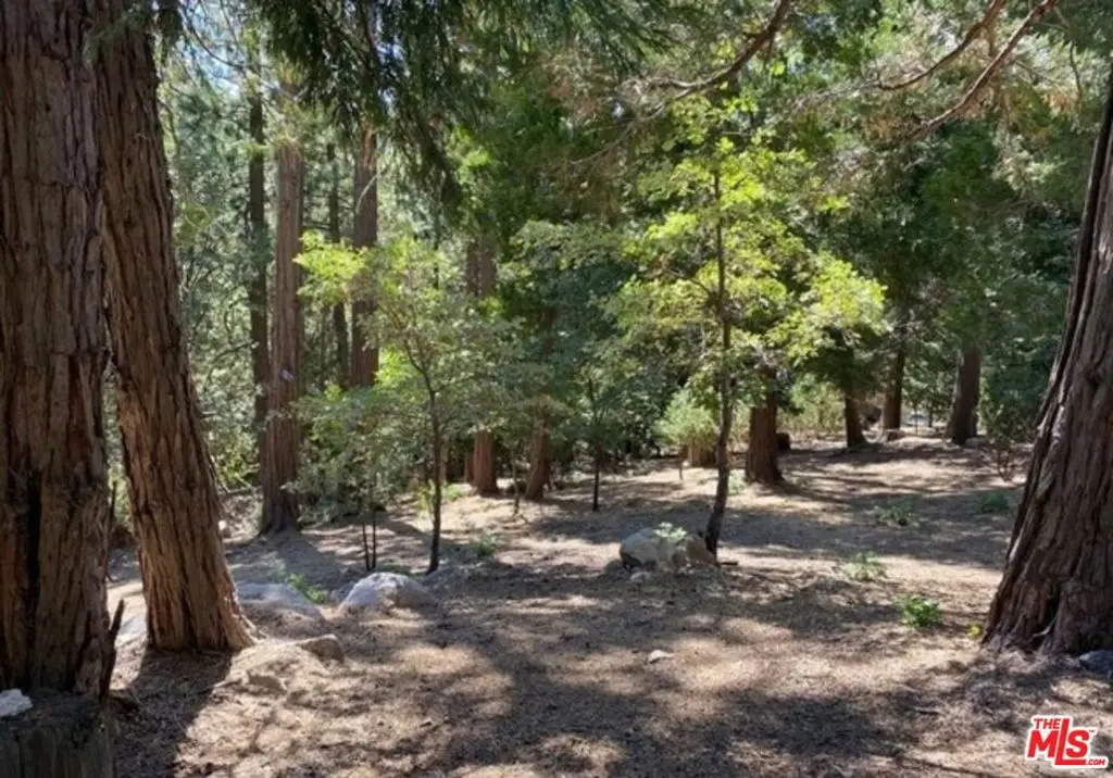 0 Grass Valley, Lake Arrowhead, CA — listing photo 1