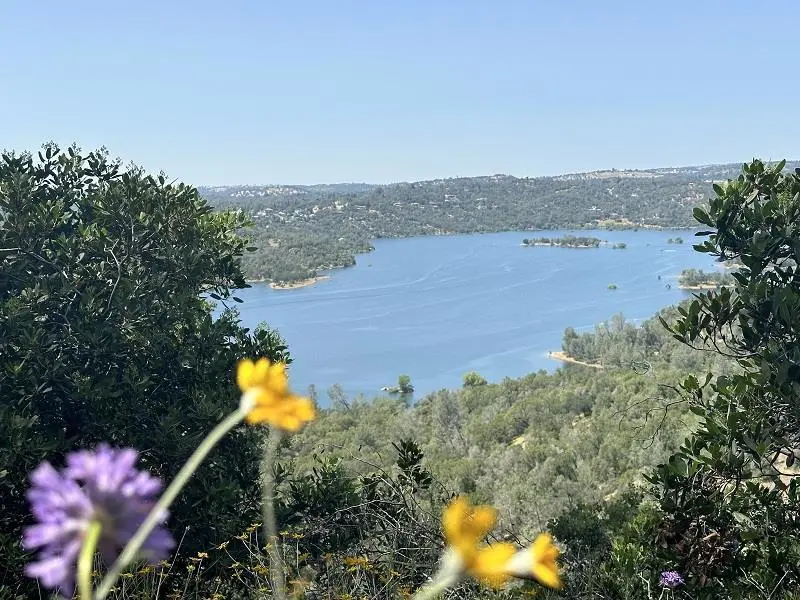 1119 Montauk Vista, Pilot Hill, CA — listing photo 1