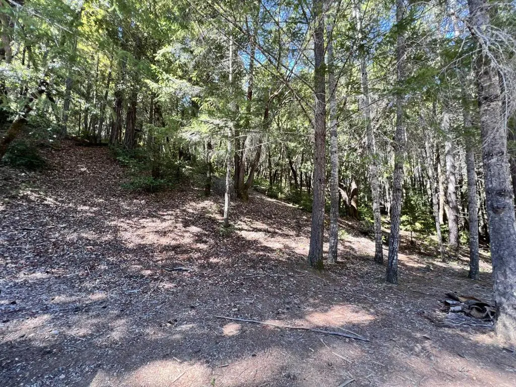 24858 Clover Road, Willits, CA — listing photo 1