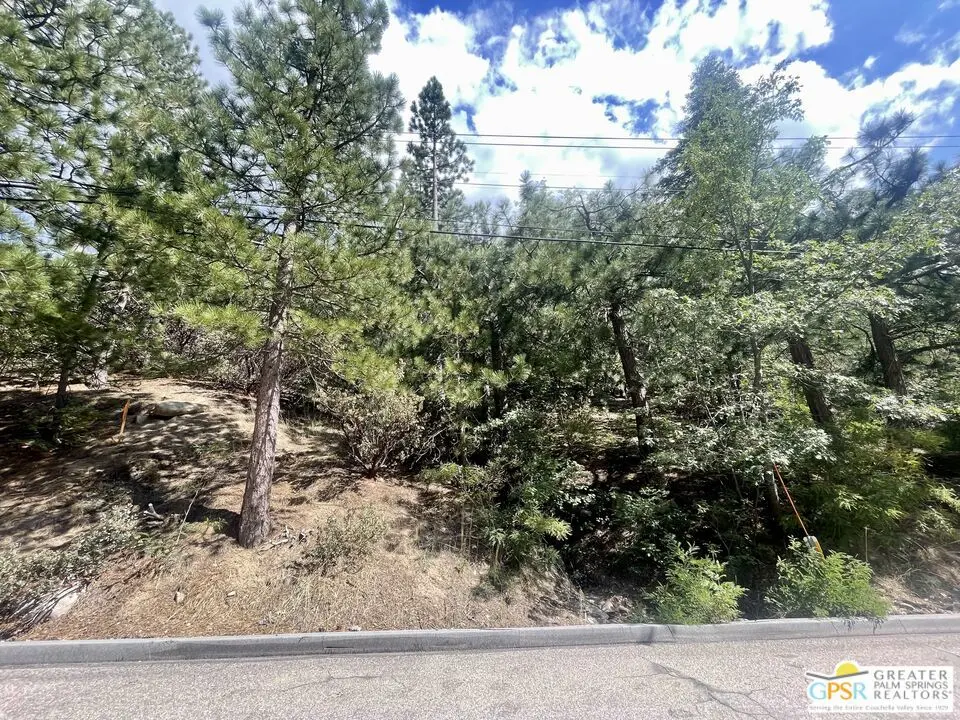 6011 Mountain Home Creek Road, Angelus Oaks, CA — listing photo 1
