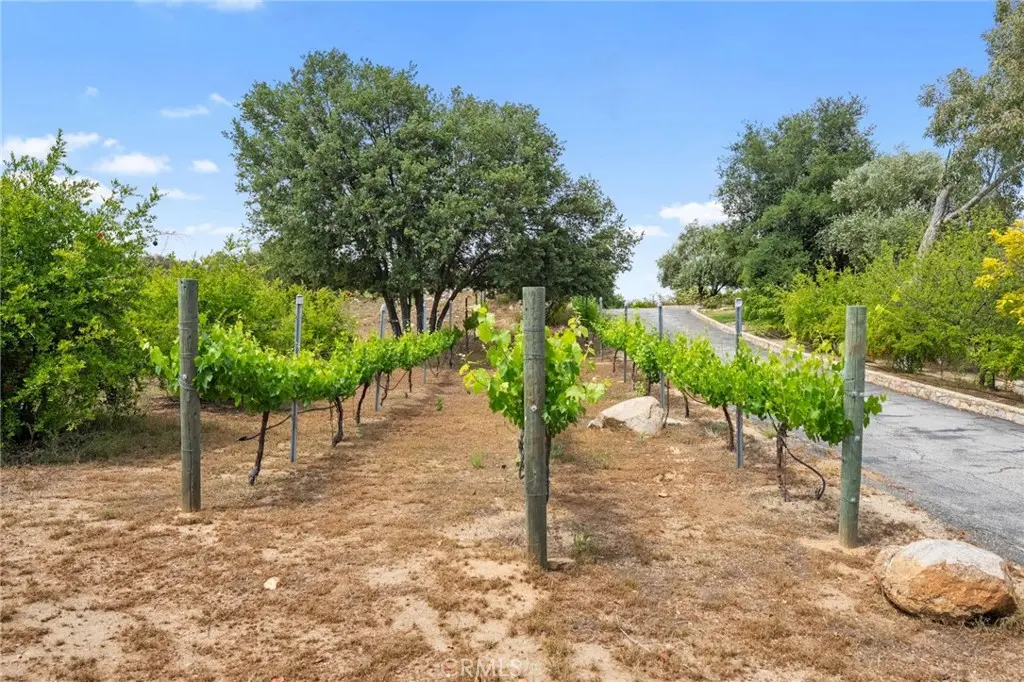 0 Hombre, Murrieta, CA — listing photo 1