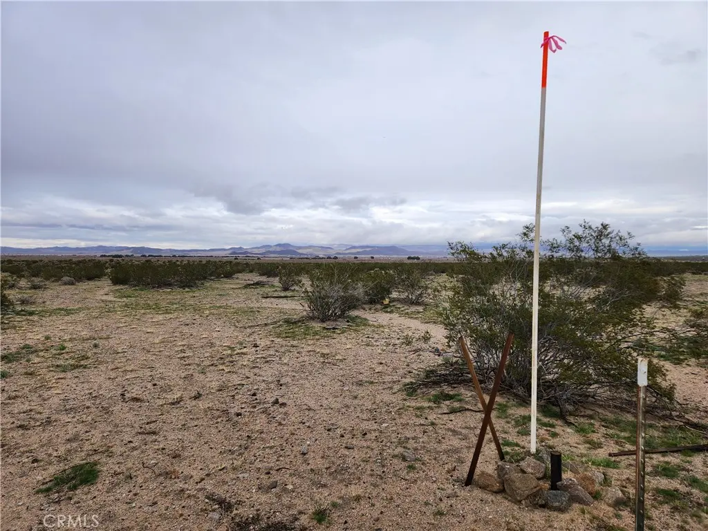 40 AC Near Center Road, Newberry Springs, CA — listing photo 1