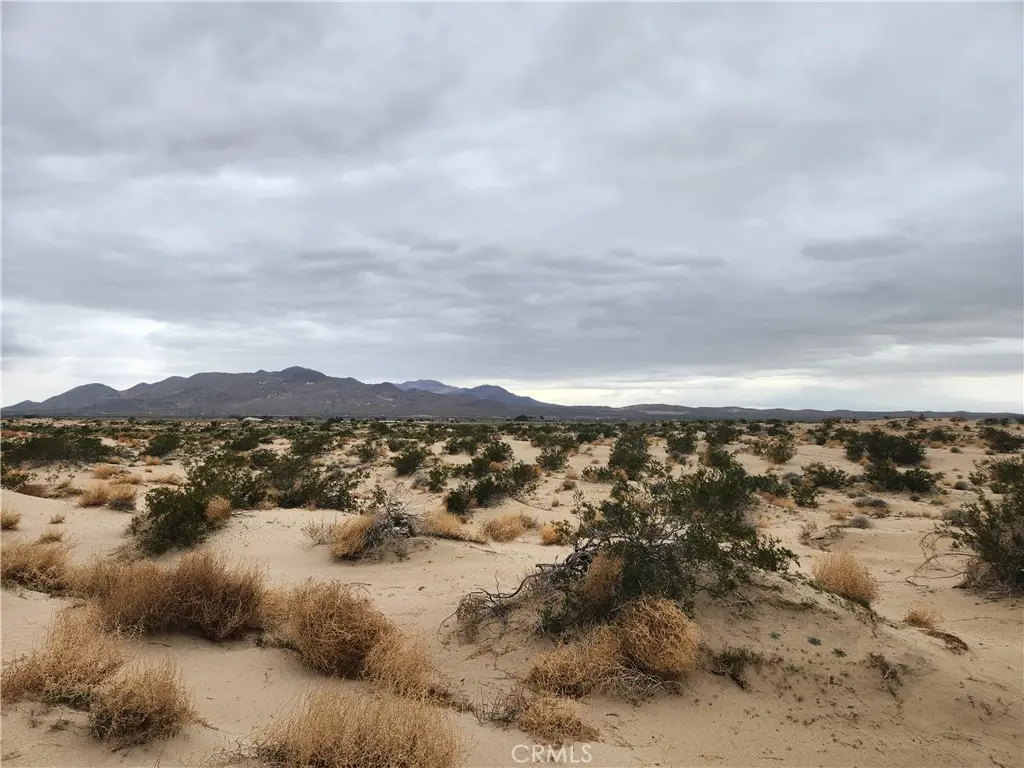 40 AC on Yearling Road, Newberry Springs, CA — listing photo 1