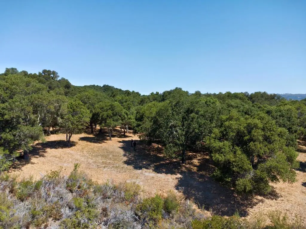 4 Holding Field Run, Carmel, CA — listing photo 1