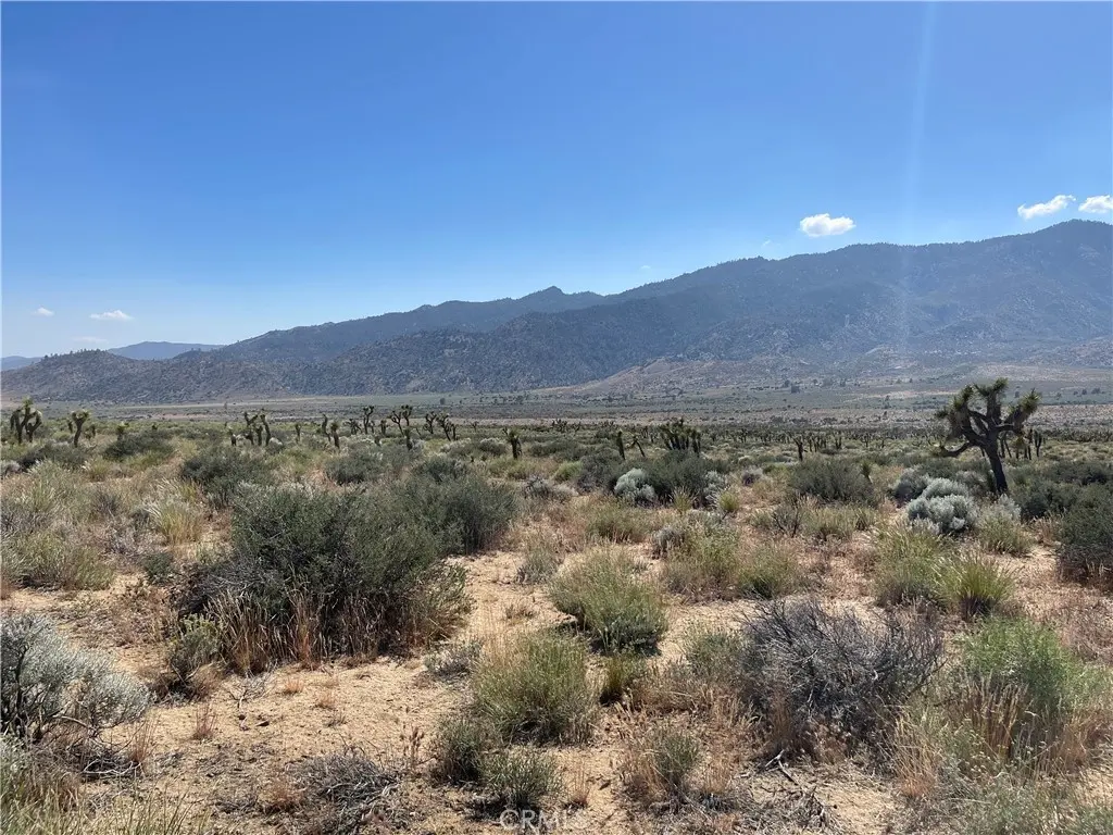 15310023 Kelso Valley Road, Weldon, CA — listing photo 1