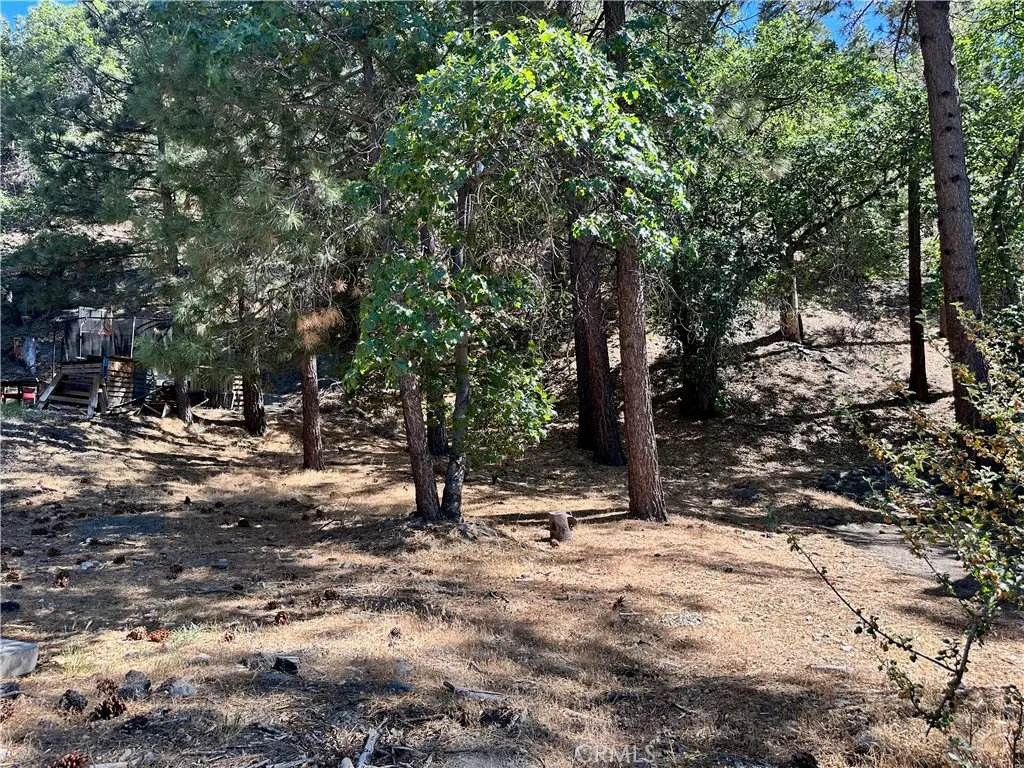 0 Heath Creek Drive, Wrightwood, CA — listing photo 1