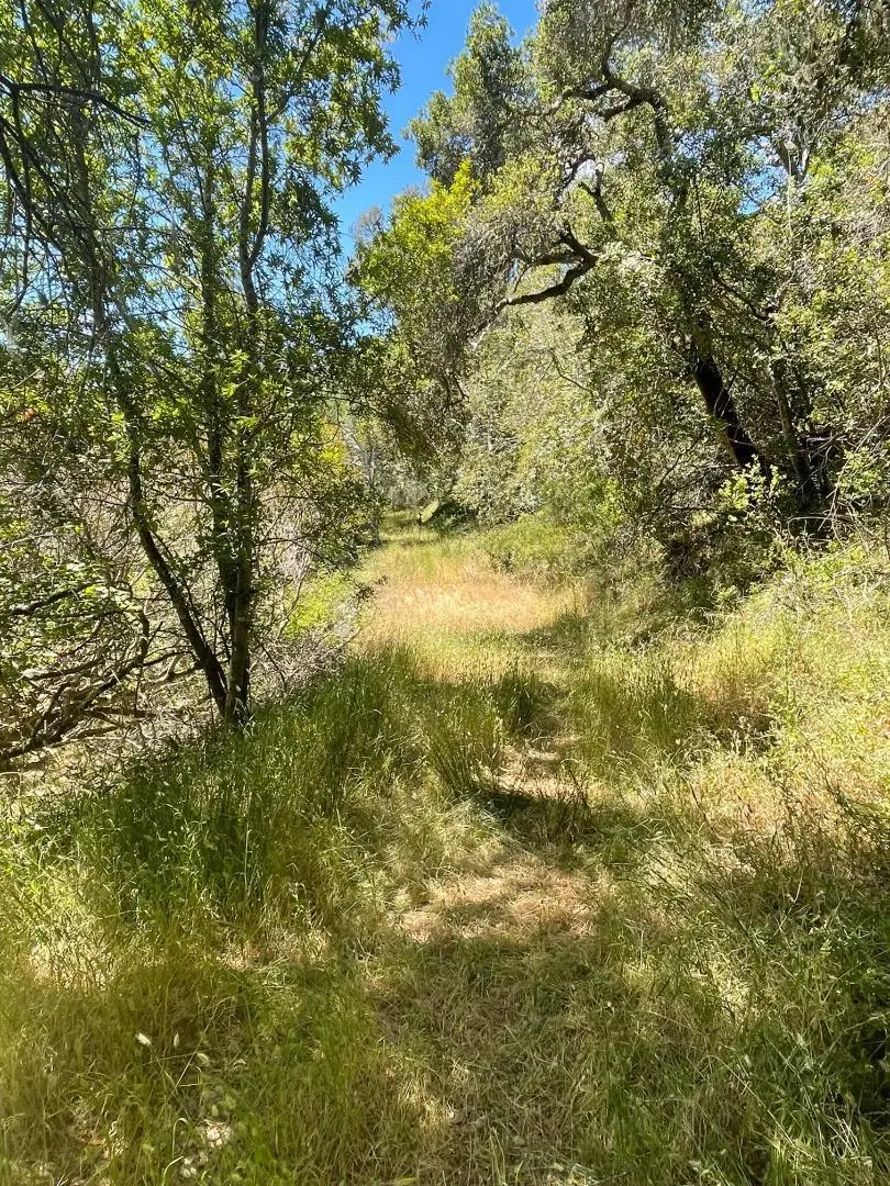 0 Crystal Springs Rd, Hillsborough, CA — listing photo 1