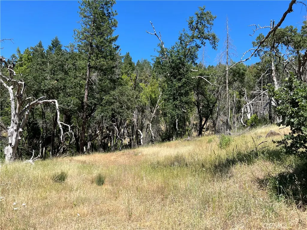 20925 Mid Mountain (17N17 USFS) Road, Upper Lake, CA — listing photo 1