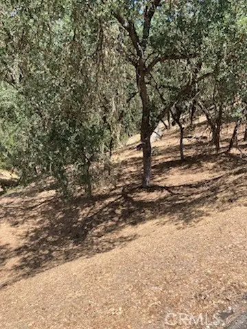 2668 Pine Ridge Road, Bradley, CA — listing photo 1