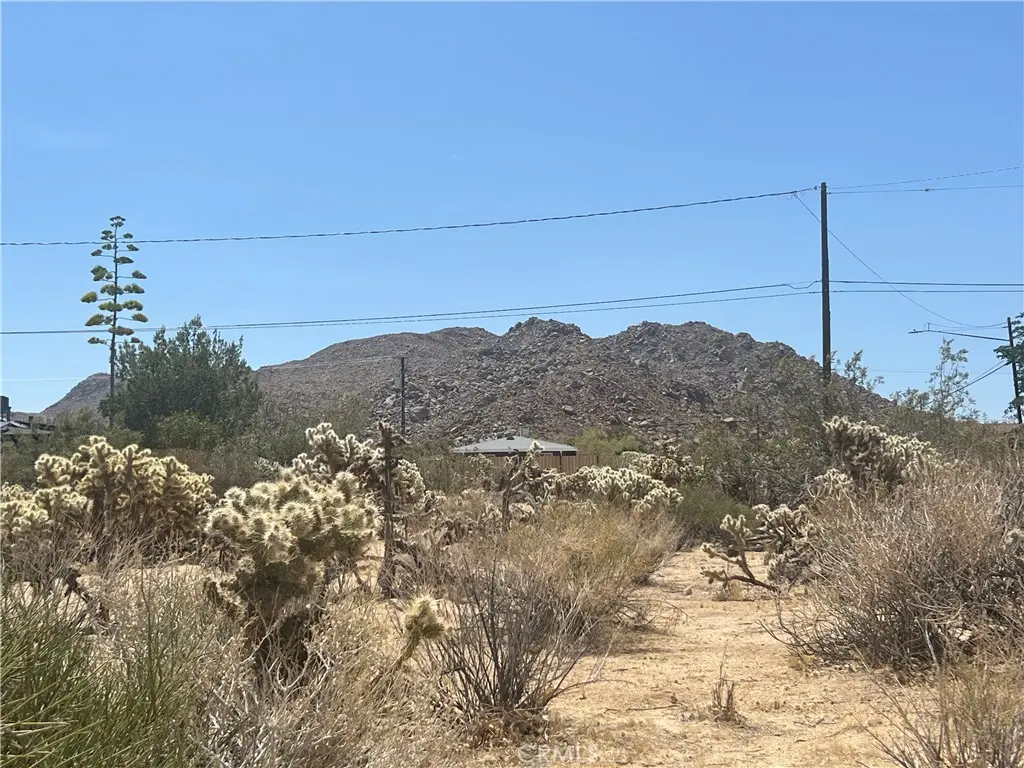 61891 El Reposo Circle, Joshua Tree, CA — listing photo 1
