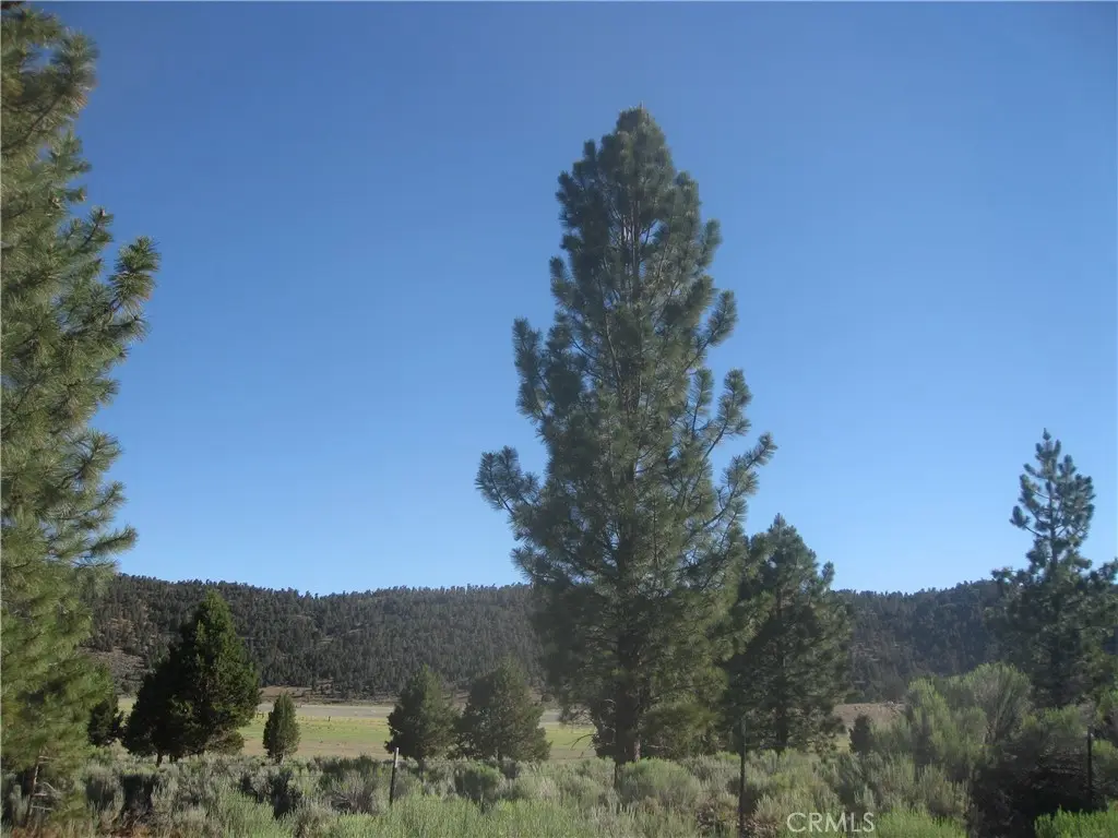 2805 Cedar Lane, Big Bear City, CA — listing photo 1