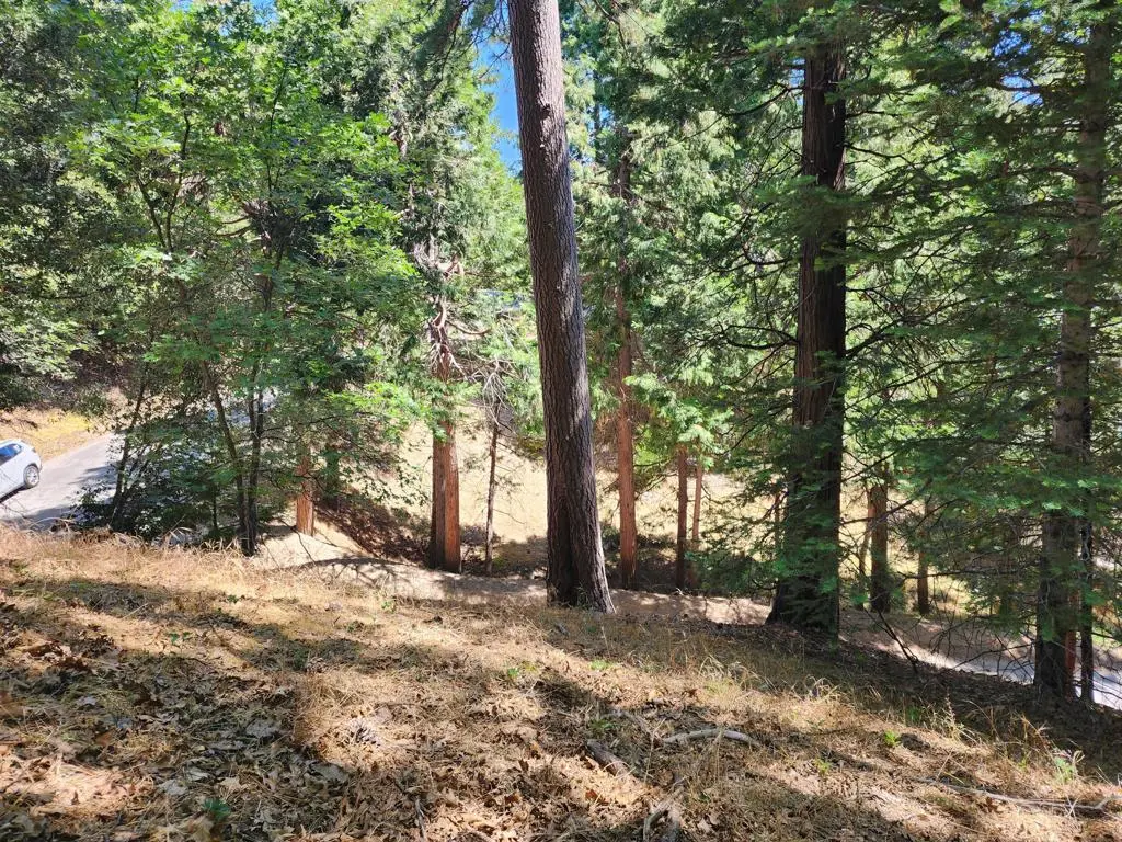0 Edelweiss Drive, Crestline, CA — listing photo 1