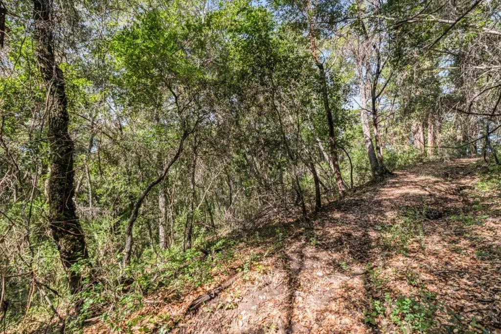 Madrone Avenue, Felton, CA — listing photo 1