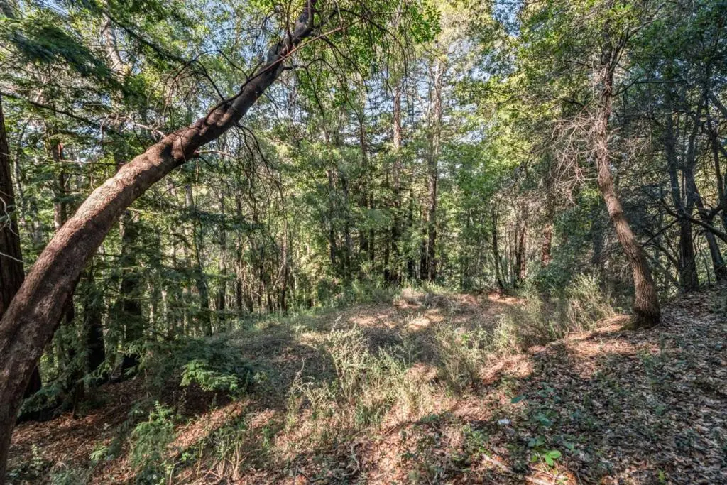 Volver Avenue, Felton, CA — listing photo 1