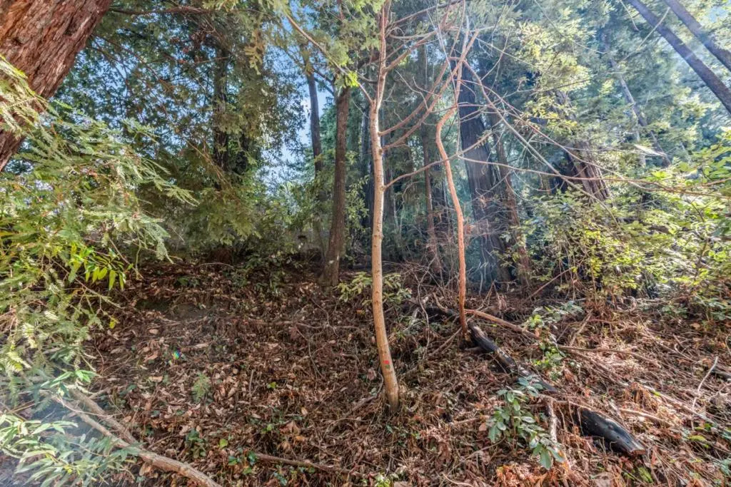 La Lena Street, Felton, CA — listing photo 1