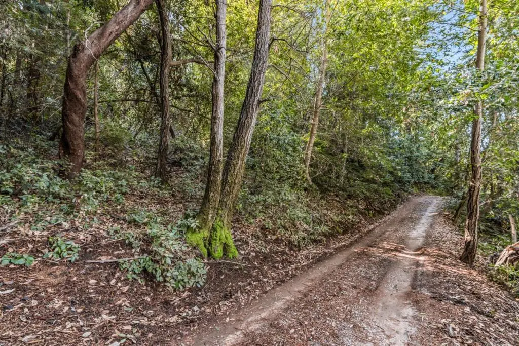 Vera Avenue, Felton, CA — listing photo 1