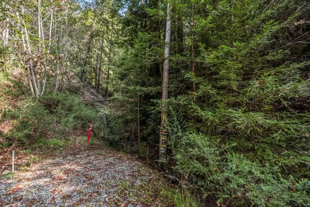 Antler Street, Felton, CA — listing photo 1