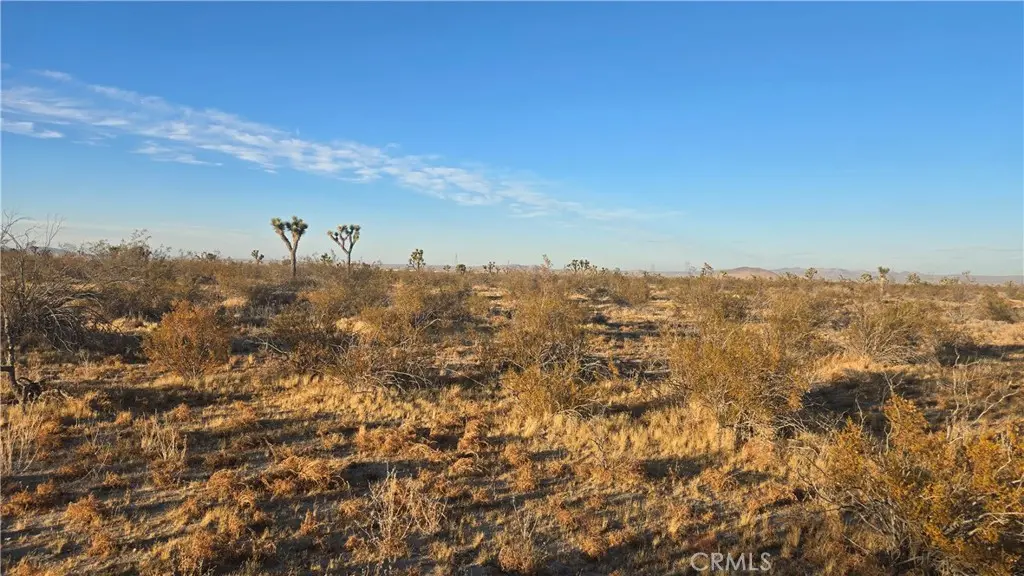 0 Avenue U4 & 257th St E, Llano, CA — listing photo 1
