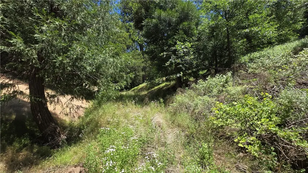 0 Mojave River Road, Cedarpines Park, CA — listing photo 1