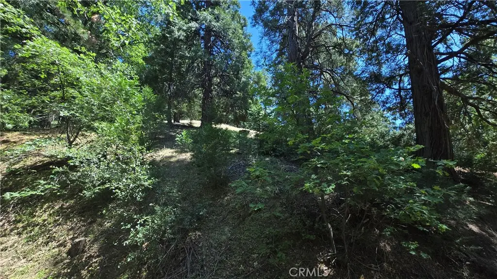 22494 Mojave River Road, Cedarpines Park, CA — listing photo 1