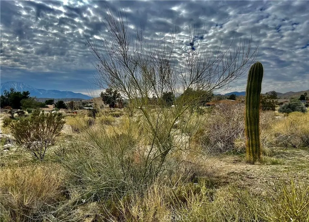 11040 Mescalero Avenue, Morongo Valley, CA — listing photo 1