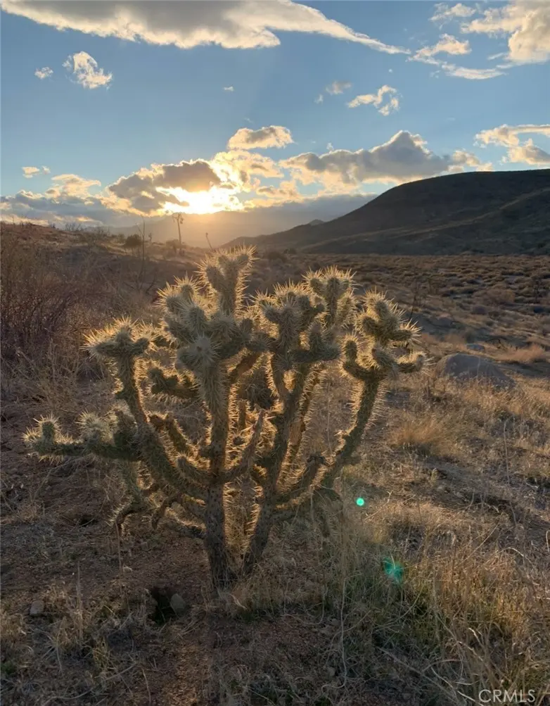 0 E Drive, Pioneertown, CA — listing photo 1