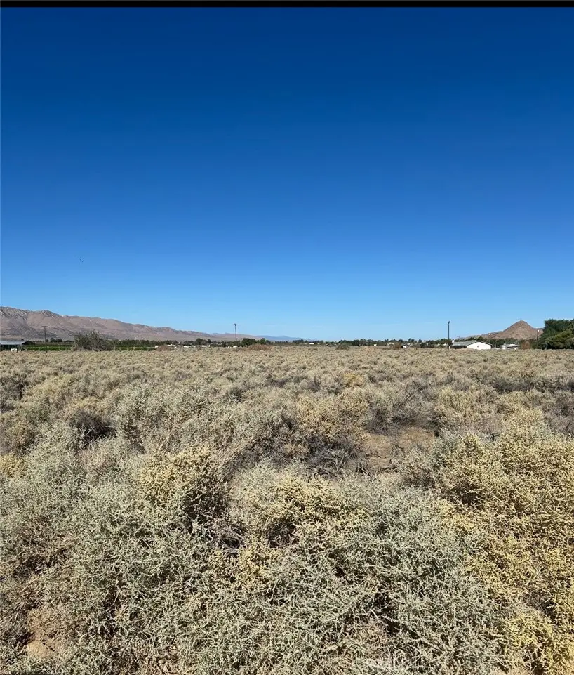 0 Mesquite Springs, 29 Palms, CA — listing photo 1