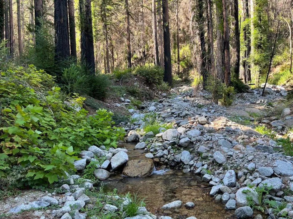 Boulder Brook Drive, Boulder Creek, CA — listing photo 1