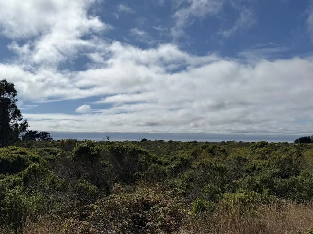 0 Bonita Ave., Half Moon Bay, CA — listing photo 1