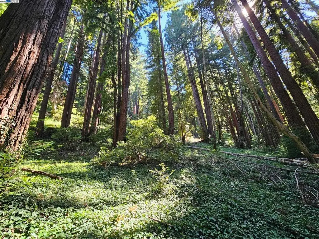 Lot26 Old La Honda Rd, Woodside, CA — listing photo 1