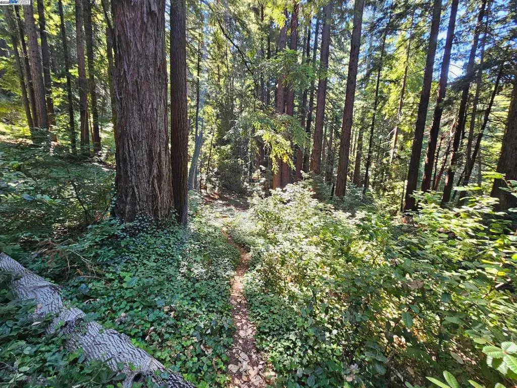 LOT27 Old La Honda Rd, Woodside, CA — listing photo 1