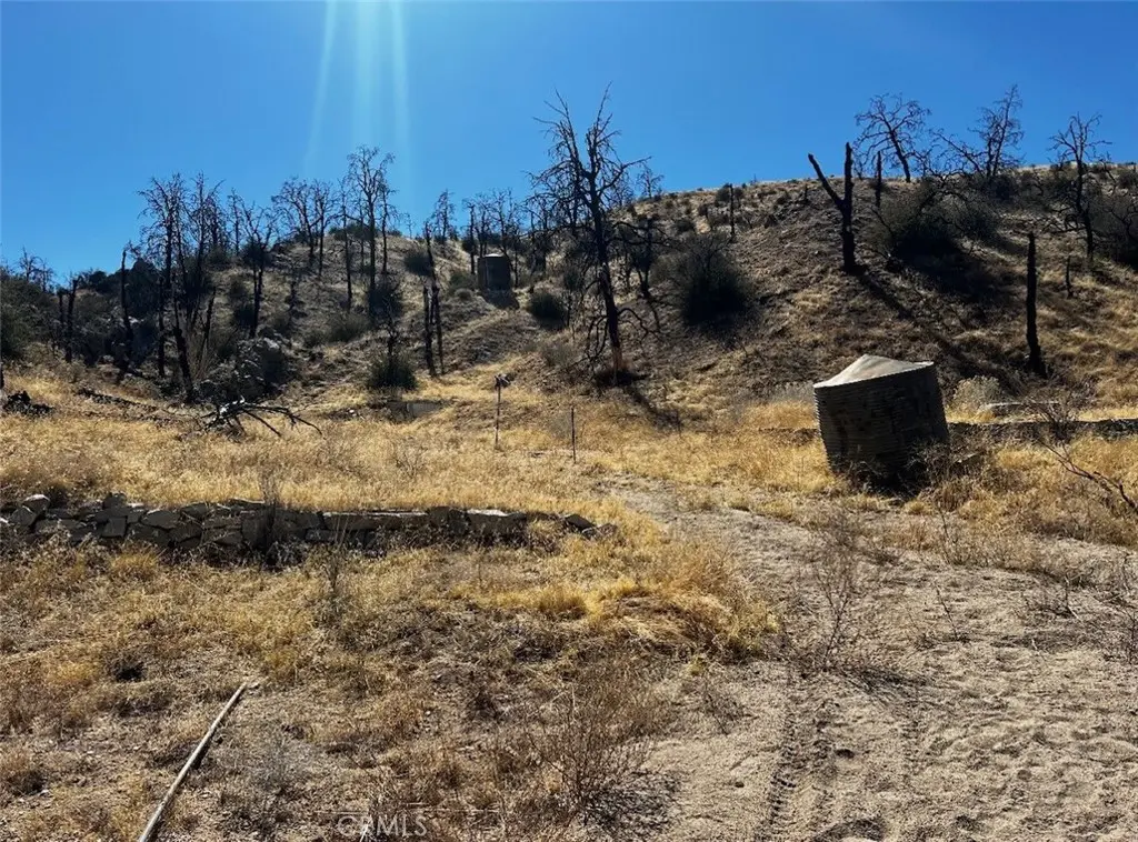 195 Ste/2 Min Bg, Llano, CA — listing photo 1
