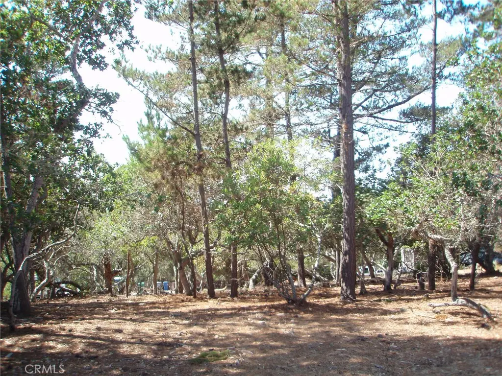 1865 Dreydon Avenue, Cambria, CA — listing photo 1