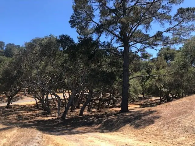 7735 Paseo Venado (Lot 82), Monterey, CA — listing photo 1