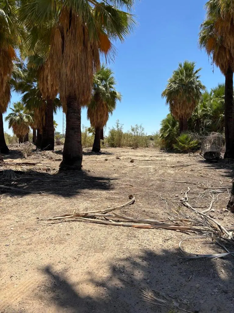 51 W 4th St, Niland, CA — listing photo 1