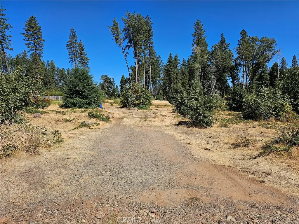 1533 Forest Service Rd, Paradise, CA — listing photo 1