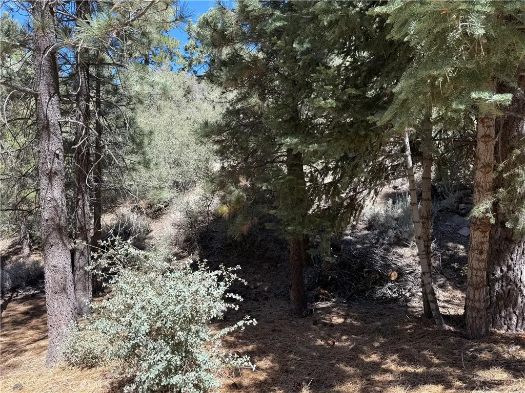 1420 Linden Drive, Pine Mountain Club, CA — listing photo 1