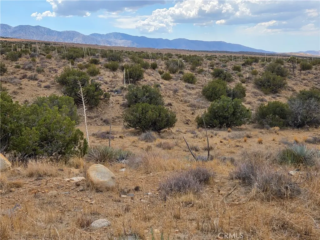 0 Vac/Vic 193rd St E Avenue, Llano, CA — listing photo 1