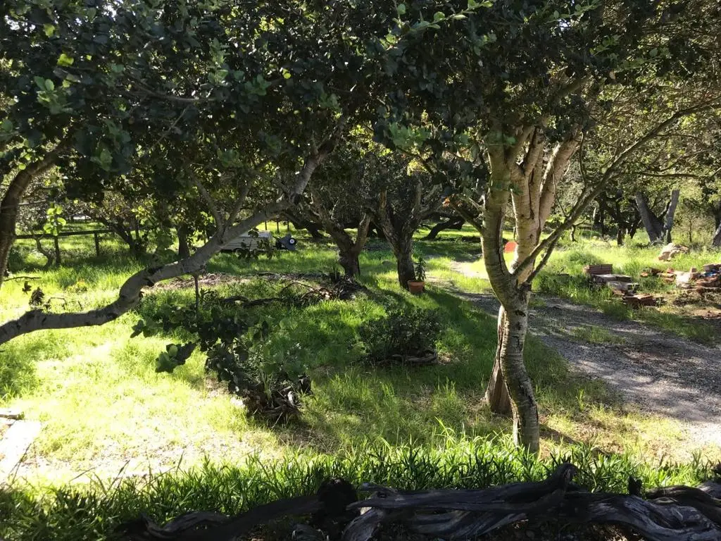 6967 Valle Pacifico Road, Salinas, CA — listing photo 1