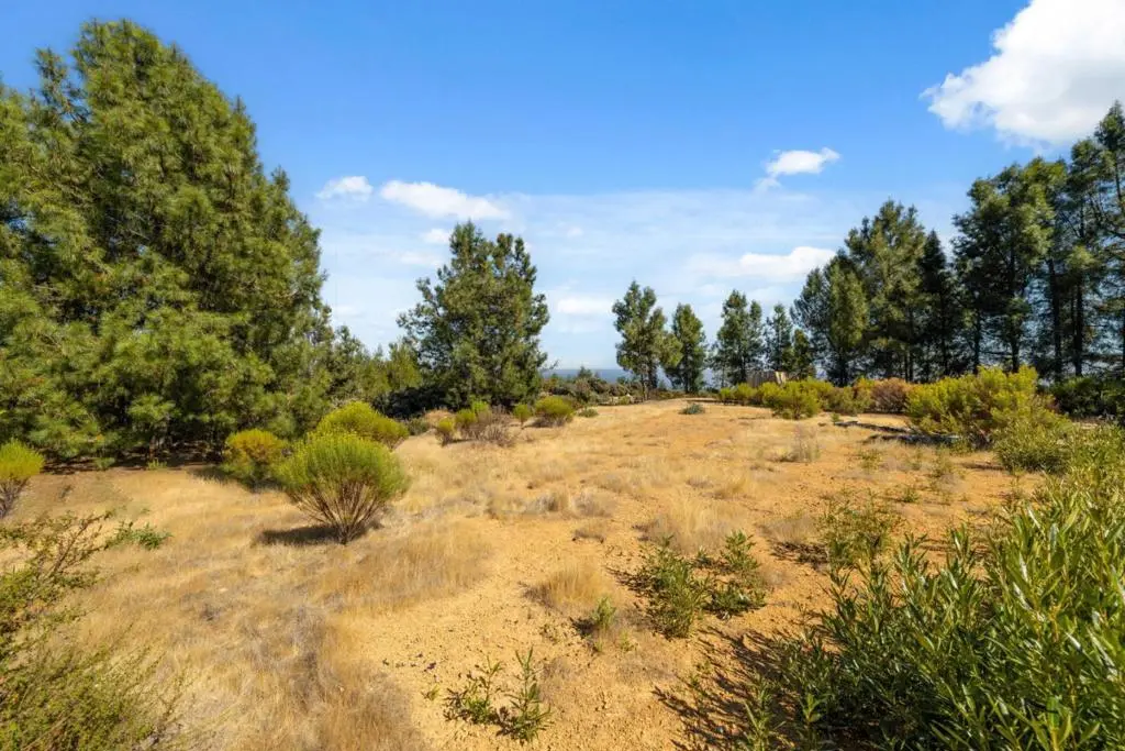 Summit Road, Los Gatos, CA — listing photo 1