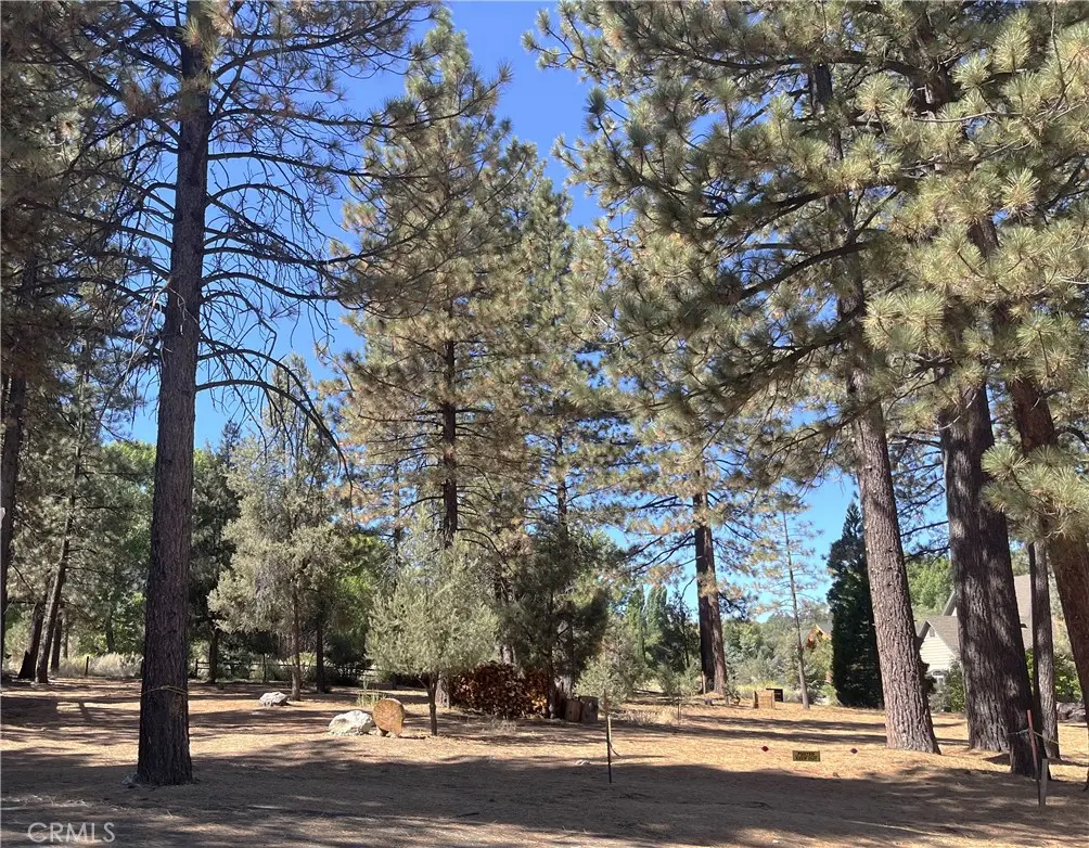 2613 Teakwood Court, Pine Mountain Club, CA — listing photo 1