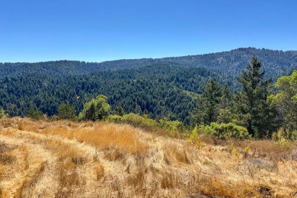 1200 Roberts Road, Ben Lomond, CA — listing photo 1