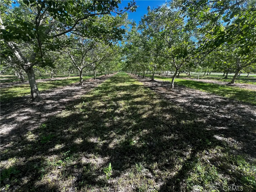 4180 COUNTY 203 Road, Hamilton City, CA — listing photo 1