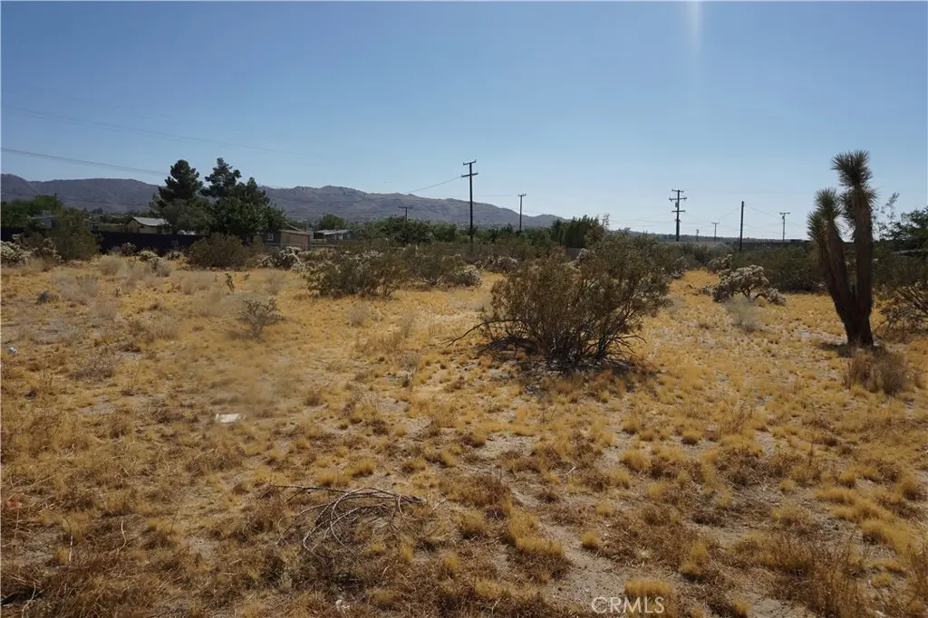 6101 Scenic Drive, Joshua Tree, CA — listing photo 1