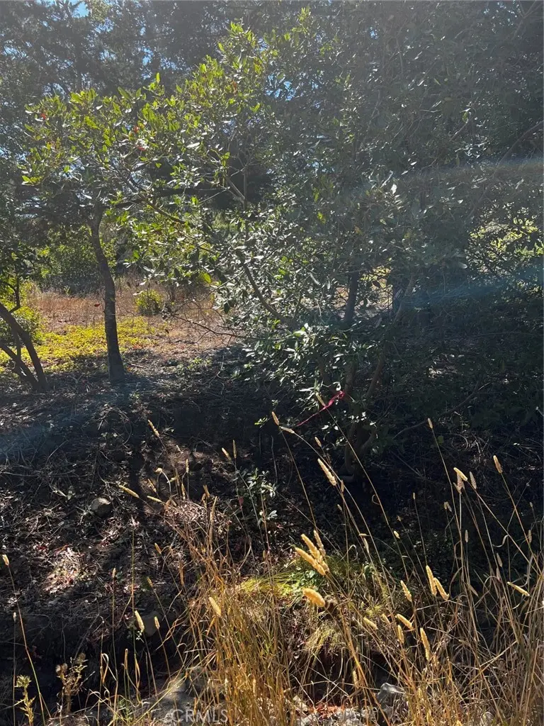 3236 Gleason Street, Cambria, CA — listing photo 1