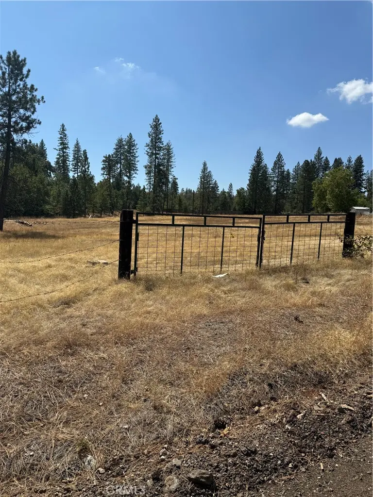 6479 Pine Drive, Coulterville, CA — listing photo 1