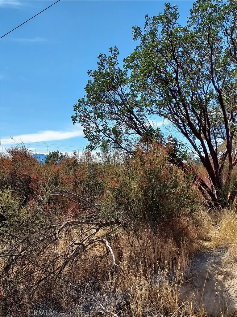 16301 11th Avenue, Clearlake, CA — listing photo 1