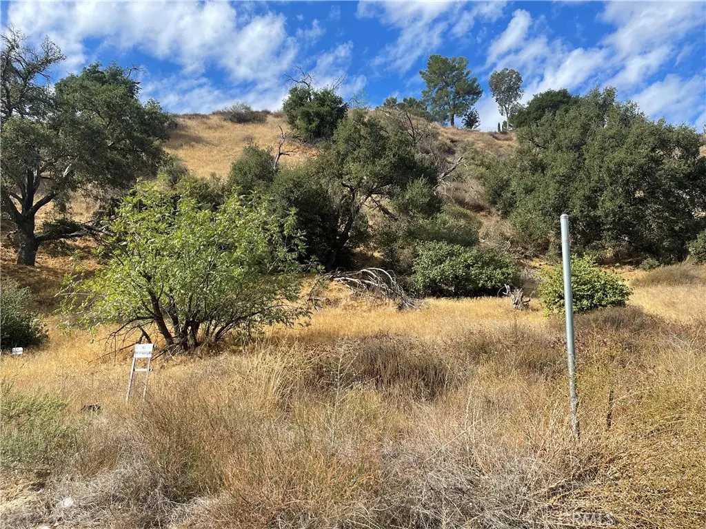 0 Chiquita Canyon RD, Val Verde, CA — listing photo 1