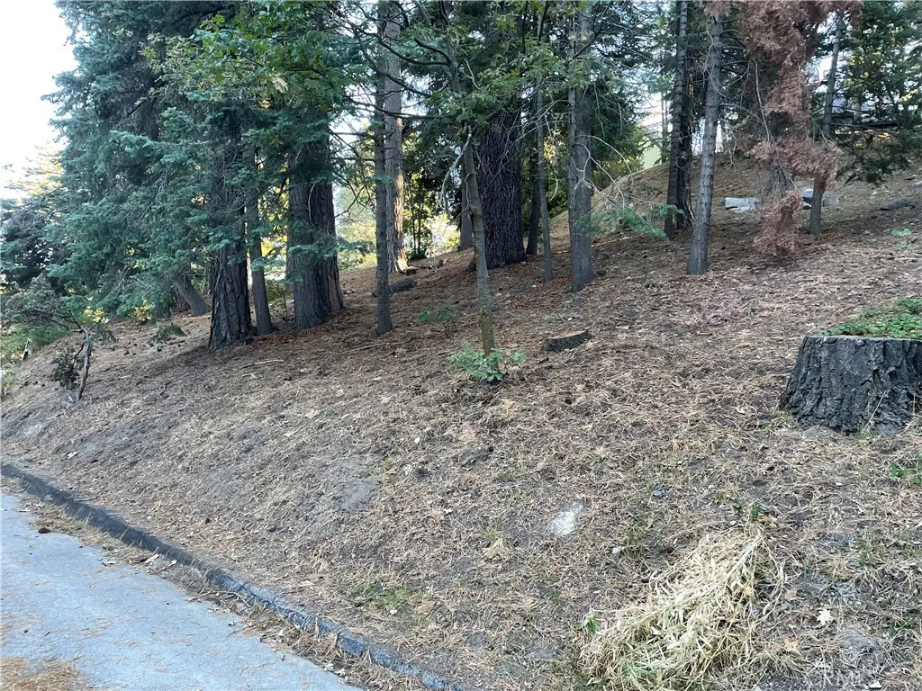 26405 Walnut Hills, Lake Arrowhead, CA — listing photo 1
